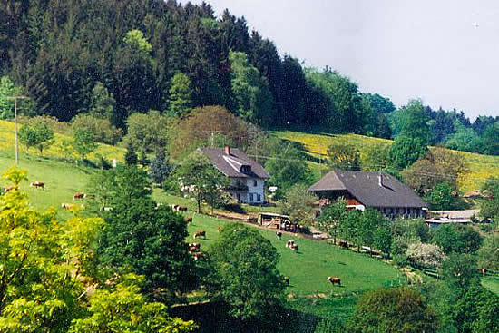 hanspeterhof-2010-internet-016.jpg